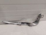 Fog Lamp Applique, Left